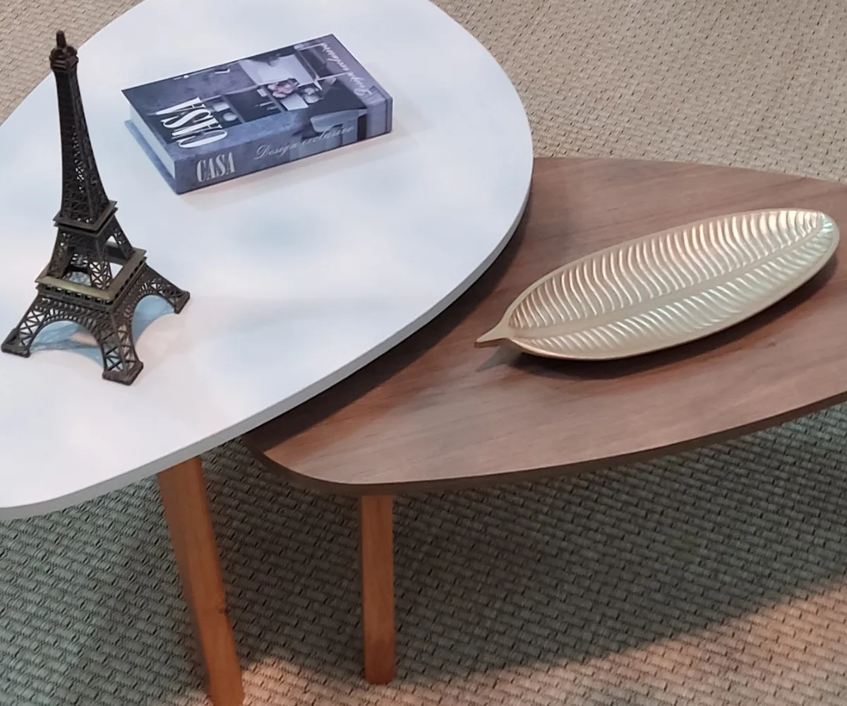 Conjunto de Mesa de Centro Orgânica Paris